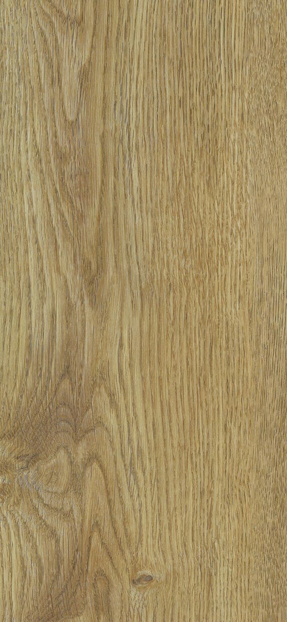 Frontier Flooring Elementary Range Vinyl Plank sample in colour 'Rich Oak'